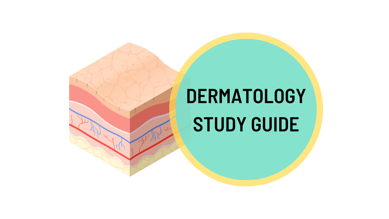 Dermatology Study Guide