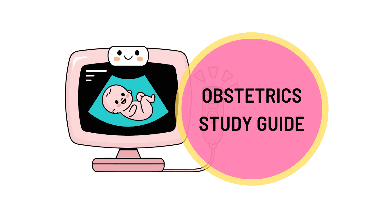 Obstetrics Study Guide