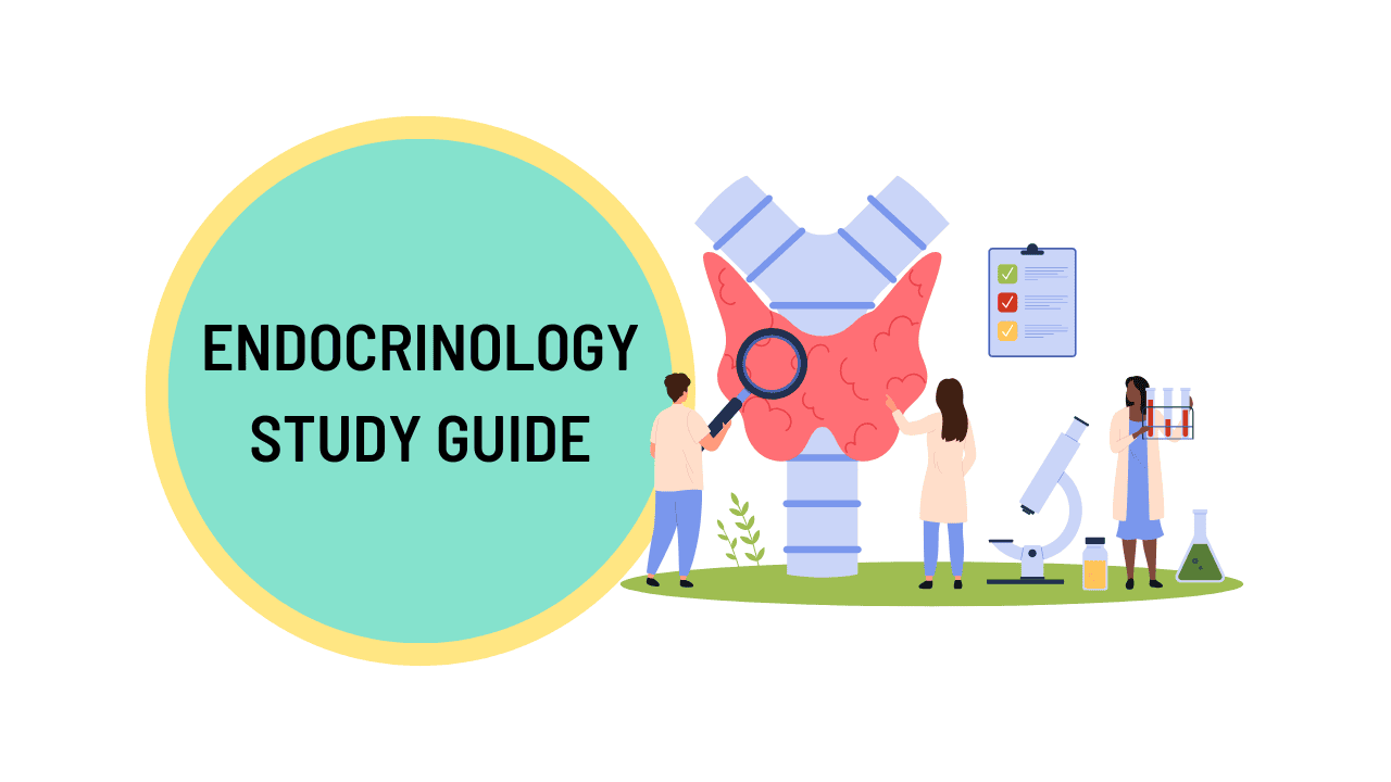 Endocrinology Study Guide